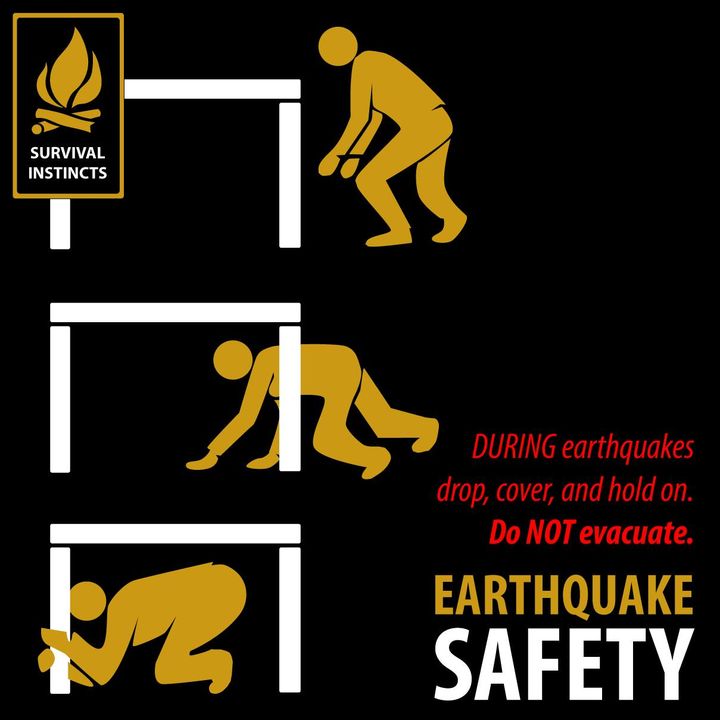 Ensuring Friends' Safety During Earthquakes: Do Not Evacuate Despite Empirical Evidence .