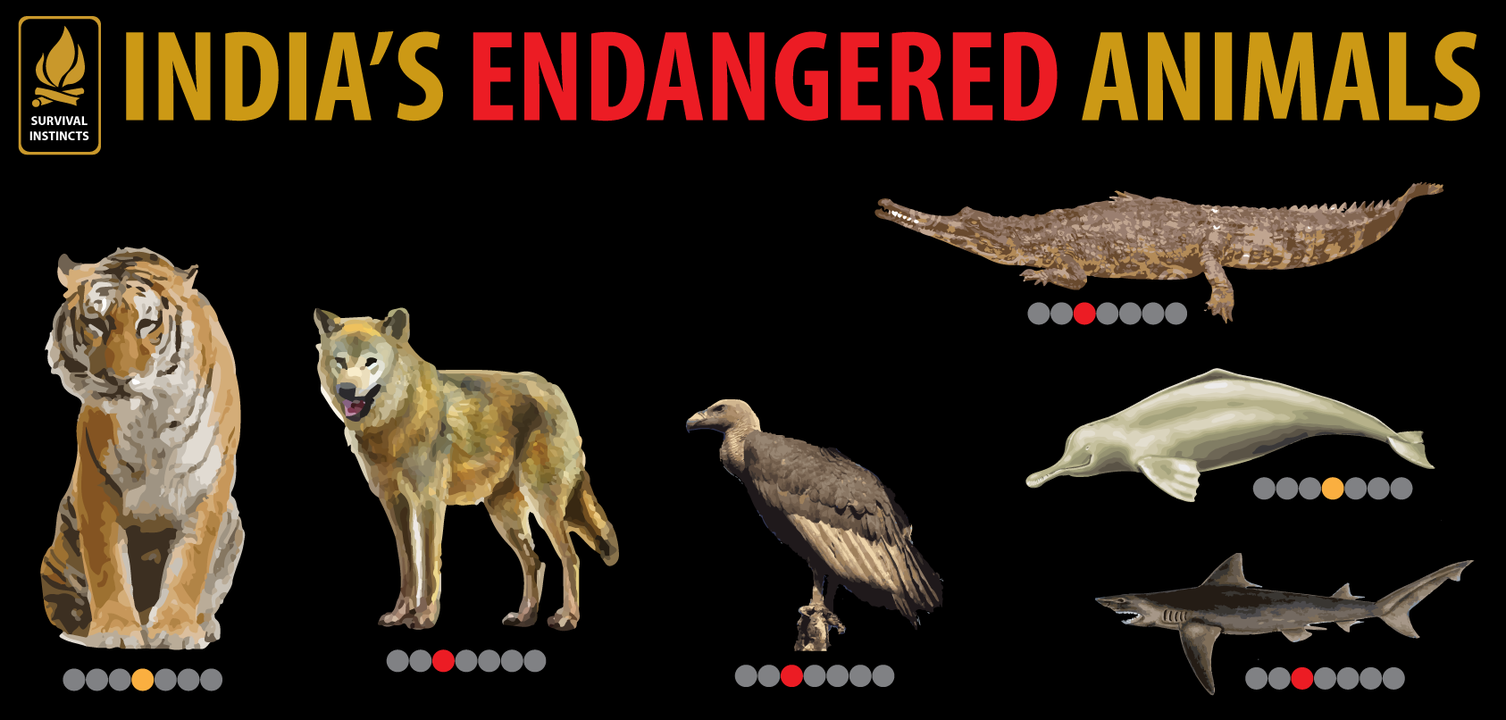 Spread Awareness: India Has Many More Critically Endangered Animals Than the Tiger!